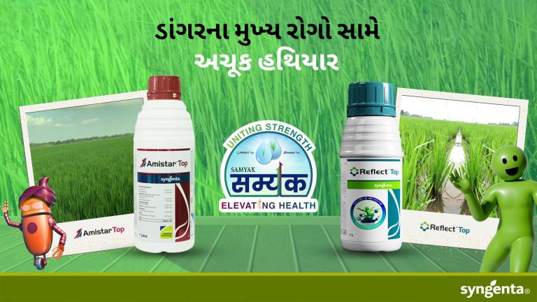 Samyak Gujrati 