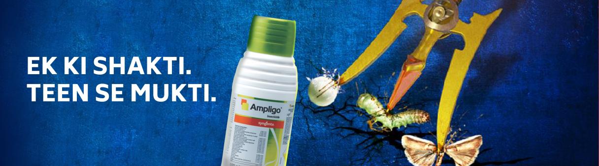 Ampligo | Syngenta