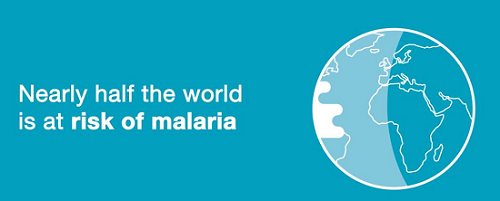 World Malaria Day Infographic