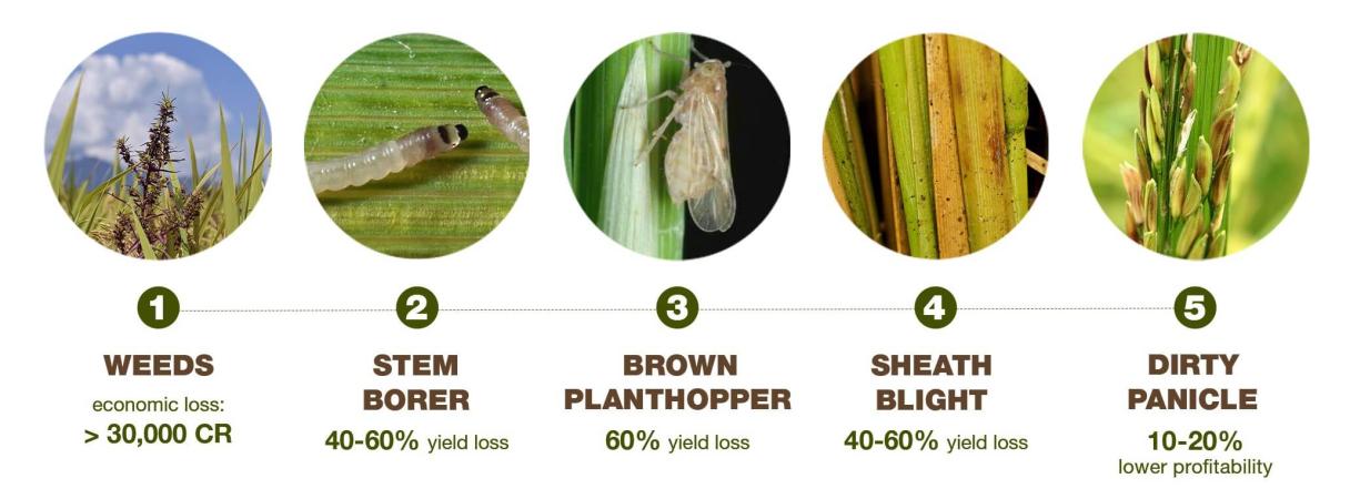 infographics_banner_2060x760_dt