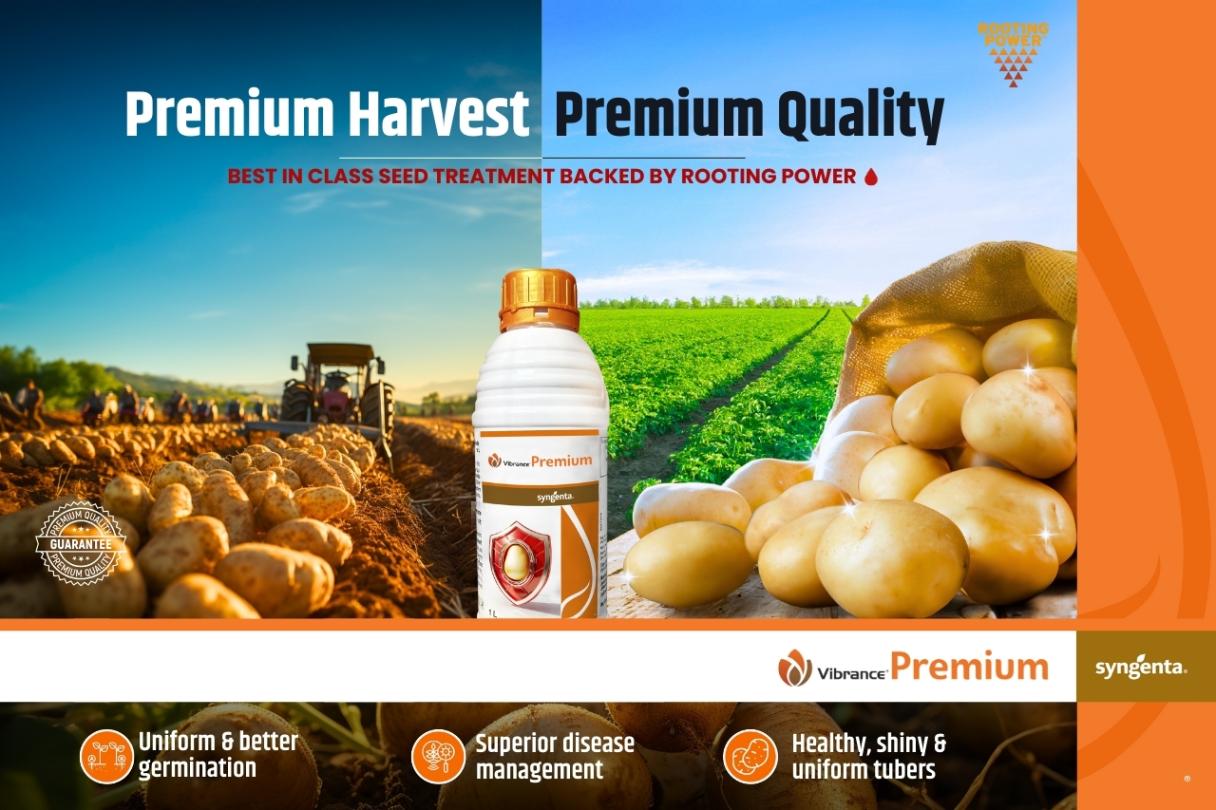 Vibrance Premium