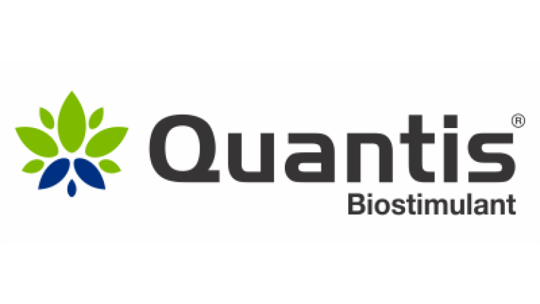 Quantis