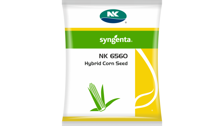 NK 6560