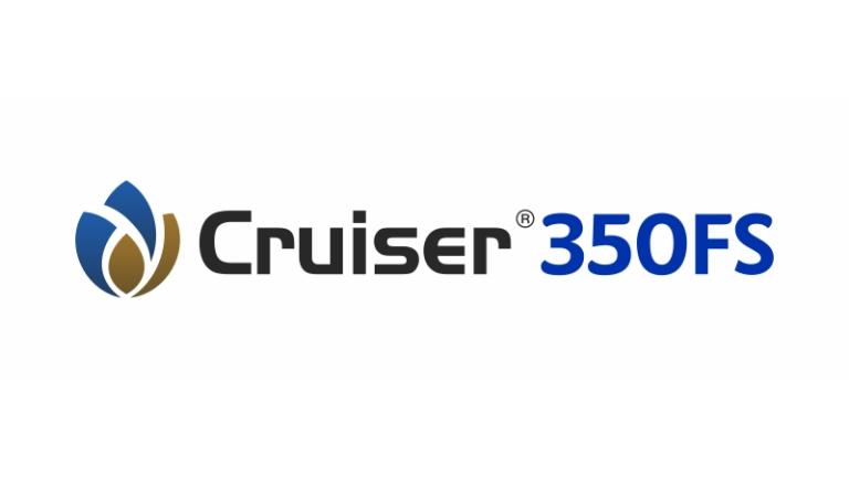 CRUISER 350 FS