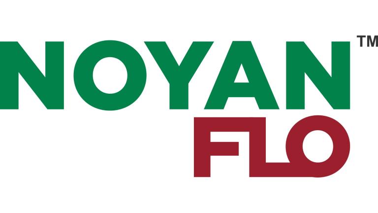 NOYAN FLO logo in green and red text